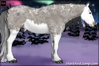 Horse Color:Grullo Ice Splash 