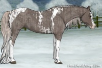 Horse Color:Silver Blue Roan Splash Tobiano  and Silver Blue Roan Splash Tobiano 