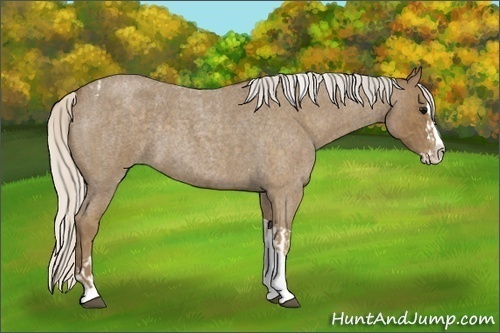 Horse Color:Silver Smoky Blue Roan Splash Tobiano  and Silver Smoky Blue Roan Splash Tobiano 