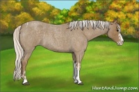Horse Color:Silver Smoky Blue Roan Splash Tobiano  and Silver Smoky Blue Roan Splash Tobiano 