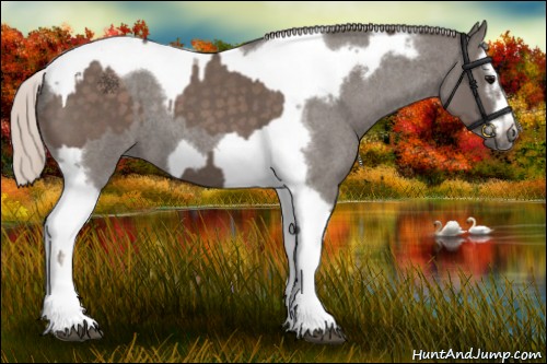 Horse Color:Silver Blue Roan Splash Tobiano and Silver Blue Roan Splash Tobiano Frame