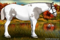 Horse Color:Silver Blue Roan Splash Tobiano Frame 
