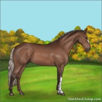 Horse Color:Silver Brown 