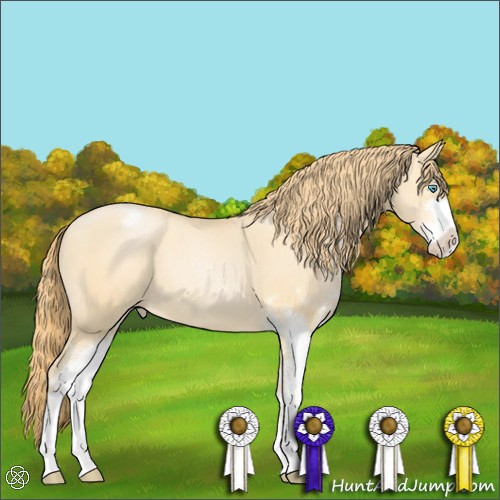 Horse Color:Buckskin Pearl Sabino Varnish