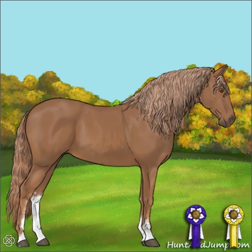 Horse Color:Chestnut Sabino 