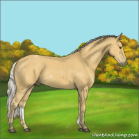 Horse Color:Silver Buckskin Rabicano