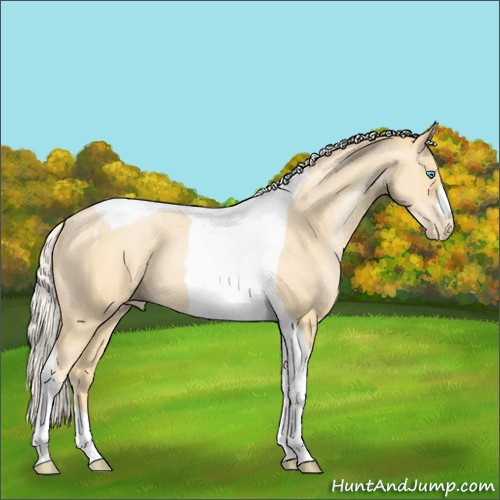 Horse Color:Silver Smoky Black Pearl Tobiano 