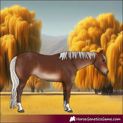 Horse Color:Silver Bay Tobiano 