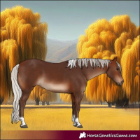 Horse Color:Silver Bay Tobiano 
