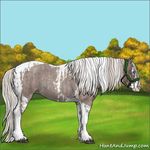 Horse Color:Silver Blue Roan Splash Tobiano  and Silver Blue Roan Splash Tobiano 