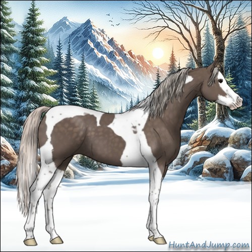 Horse Color:Silver Black Splash Tobiano 