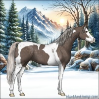 Horse Color:Silver Black Splash Tobiano 