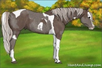 Horse Color:Silver Blue Roan Splash Tobiano  and Silver Blue Roan Splash Tobiano 