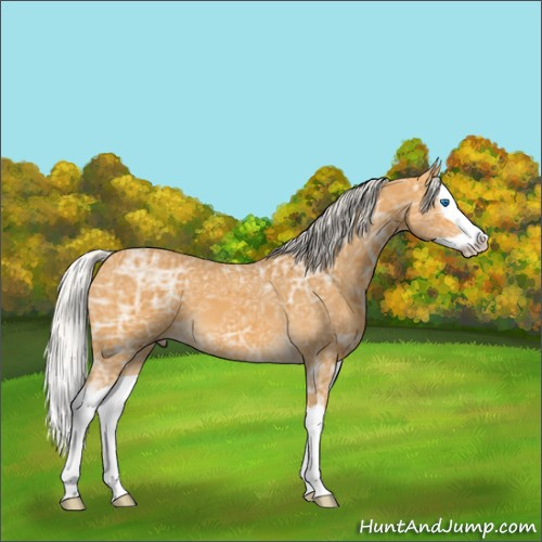 Horse Color:Silver Buckskin Ice Splash 