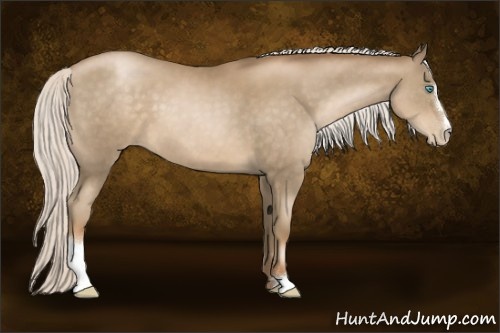 Horse Color:Silver Smoky Black Pearl Sabino 