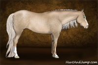 Horse Color:Silver Smoky Black Pearl Sabino 