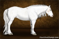 Horse Color:Silver Smoky Creme Dun Sabino 