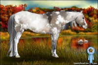 Horse Color:White Spotted Brown Dun Sabino