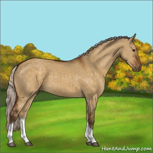 Horse Color:Silver Buckskin Dun Sabino Tobiano Rabicano 