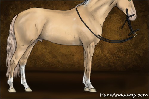 Horse Color:Gold Cream Champagne Sabino Tobiano Rabicano