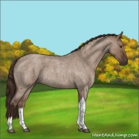 Horse Color:Liver Red Dun Roan Tobiano Rabicano 