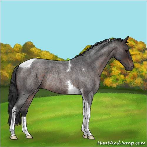 Horse Color:Brown Roan Tobiano Rabicano