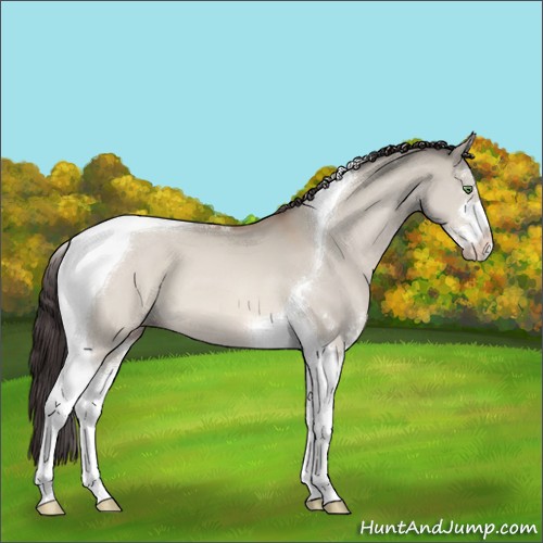 Horse Color:Sable Champagne Dun Sabino Tobiano 