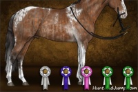 Horse Color:Brown Dun Tobiano Rabicano and Buckskin Sabino Splash Tobiano Rabicano