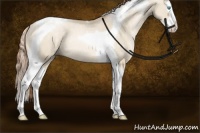 Horse Color:Buckskin Pearl Dun Splash Tobiano Rabicano 
