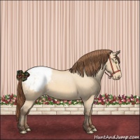 Horse Color:Amber Champagne Dun Snowcap 