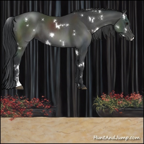 Horse Color:White Spotted Black Sabino 