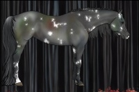 Horse Color:White Spotted Black Sabino 