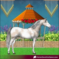 Horse Color:White Spotted Sable Champagne Dun Splash Tobiano 