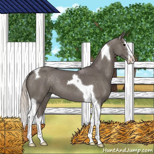 Horse Color:Silver Black Splash Tobiano 