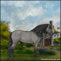 Horse Color:Grullo Roan 