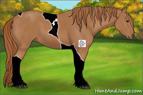 Horse Color:Chestnut Tobiano 