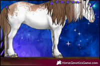 Horse Color:White Spotted Liver Chestnut Pearl Sabino Rabicano