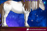 Horse Color:White Spotted Brown Pearl Sabino
