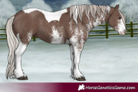 Horse Color:White Spotted Silver Black Tobiano 