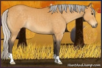 Horse Color:Silver Buckskin Roan 
