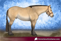 Horse Color:Buckskin Dun Rabicano