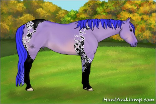 Horse Color:Watercolor Bay Dun Tobiano 