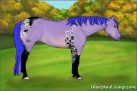 Horse Color:Watercolor Bay Dun Tobiano 