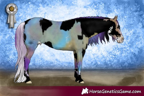 Horse Color:Watercolor Bay Splash Appaloosa  and Watercolor Bay Sabino Splash 
