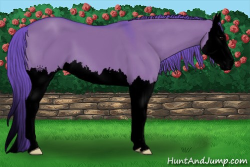 Horse Color:Void Watercolor Grullo Splash 