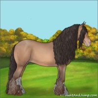 Horse Color:Amber Champagne 