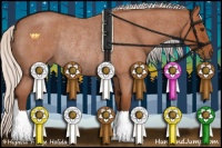 Horse Color:Silver Bay Roan Rabicano 