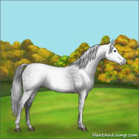 Horse Color:Gray Smoky Black Ice 