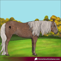 Horse Color:Silver Black 