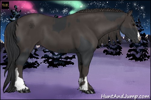 Horse Color:Black  and Smoky Black 